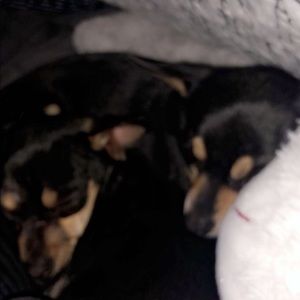 Meet your Posher, Kendall